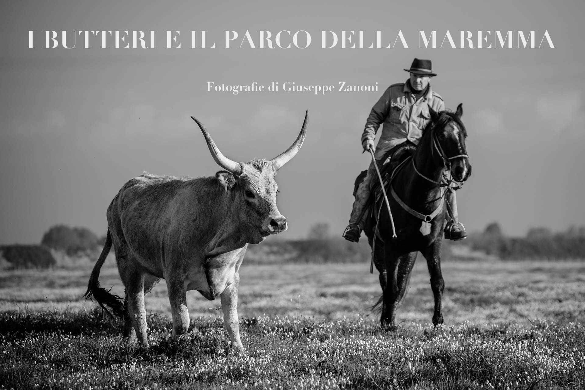 Photo book "THE BUTTERS AND THE MAREMMA PARK" 30×45 cm.